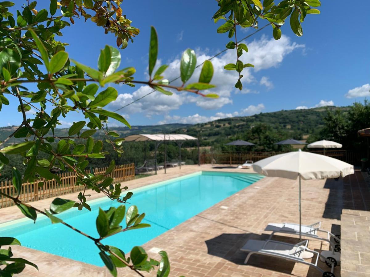Agriturismo La Palazzetta Di Assisi Ngoại thất bức ảnh