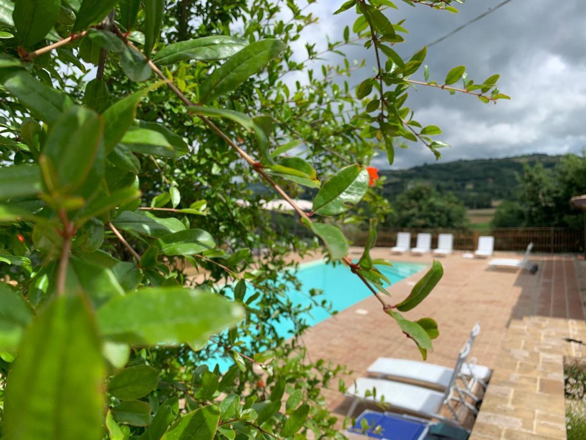 Agriturismo La Palazzetta Di Assisi Ngoại thất bức ảnh