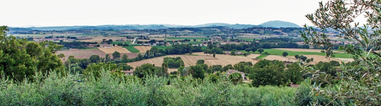 Agriturismo La Palazzetta Di Assisi Ngoại thất bức ảnh